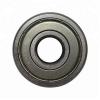 6309 2RS C3 (Single Row Radial Bearing) RHP