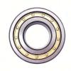 1 NEW SKF 24026 CC/C4W33 SEPHERICAL ROLLER BEARING *NEW IN BOX* #1 small image