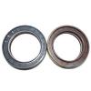 STO 30 X SKF 30x62x19.8mm  Product Group - BDI B04144 Cylindrical roller bearings #1 small image