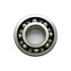 SL014960 NBS 300x420x118mm  Width  118mm Cylindrical roller bearings