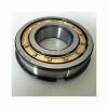 1311SK NTN d 55 mm 55x120x29mm  Self aligning ball bearings