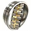 SL183060 ISO B 118 mm 300x460x118mm  Cylindrical roller bearings