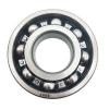 ZKLN1242-2RS-PE INA UNSPSC 31171531 12x42x25mm  Thrust ball bearings #1 small image