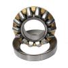 29452 M Loyal  D 480 mm Thrust roller bearings #1 small image