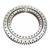 RKS.062.20.0644 slew ring bearing SKF turntable bearing #1 small image