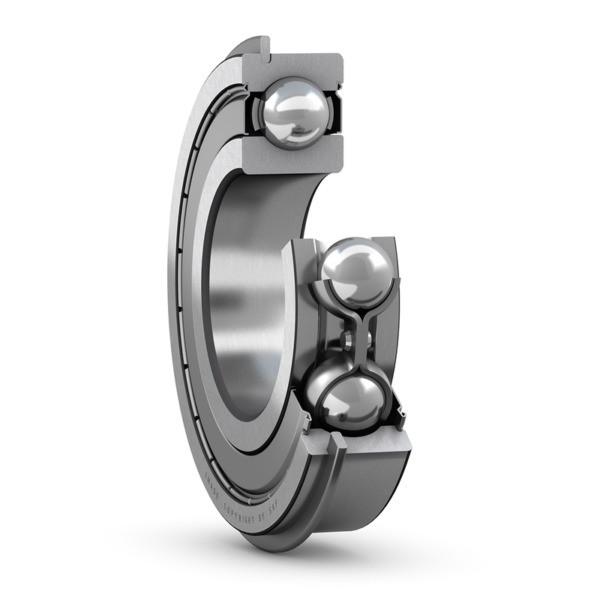 SKF 313-ZNR #1 image