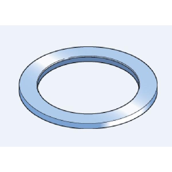 New SKF LS160200 Washer for Thrust Needle Bearings 160mm ID x 200mm OD x 9.5mm #1 image
