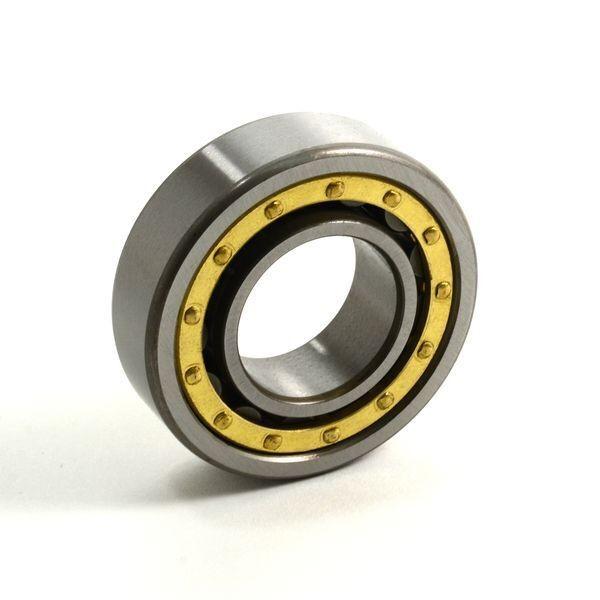 FAG BEARING N306-E-M1-C3 #1 image