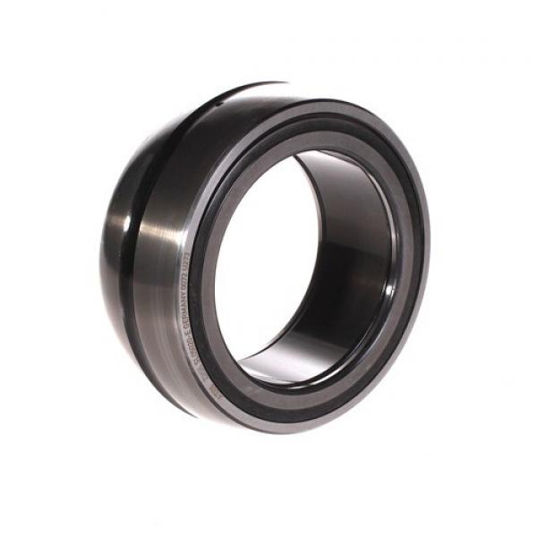 SL06 020 E INA 100x150x55mm  D 150 mm Cylindrical roller bearings #1 image