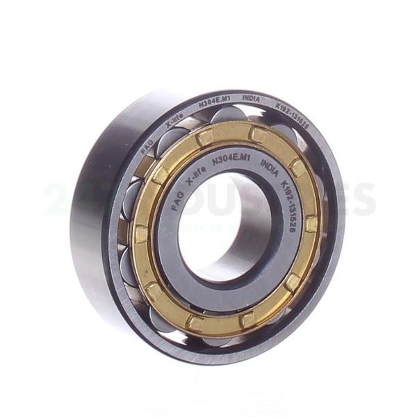 FAG BEARING N304-E-M1 #1 image