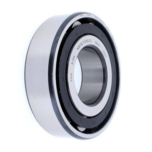 FAG BEARING N307-E-TVP2-C3 #1 image