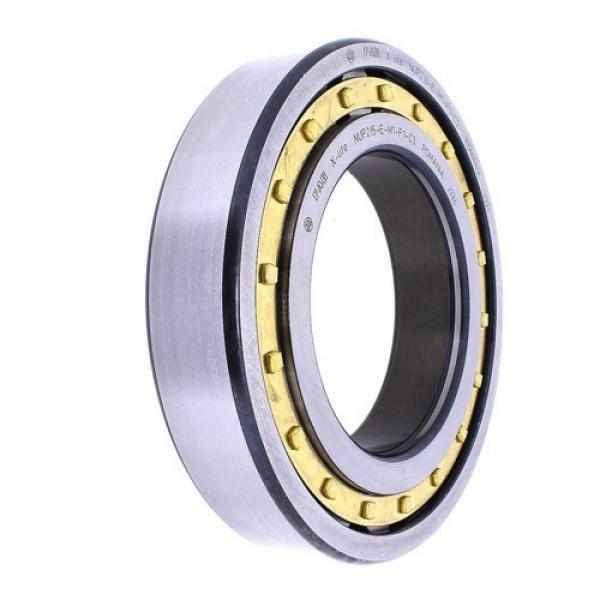 FAG BEARING NUP215-E-M1 #1 image