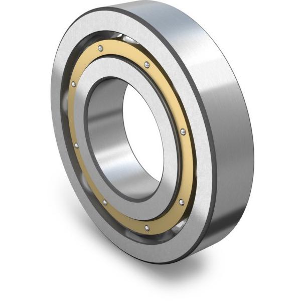 SL181864-E INA Cage Material None 320x400x38mm  Cylindrical roller bearings #1 image