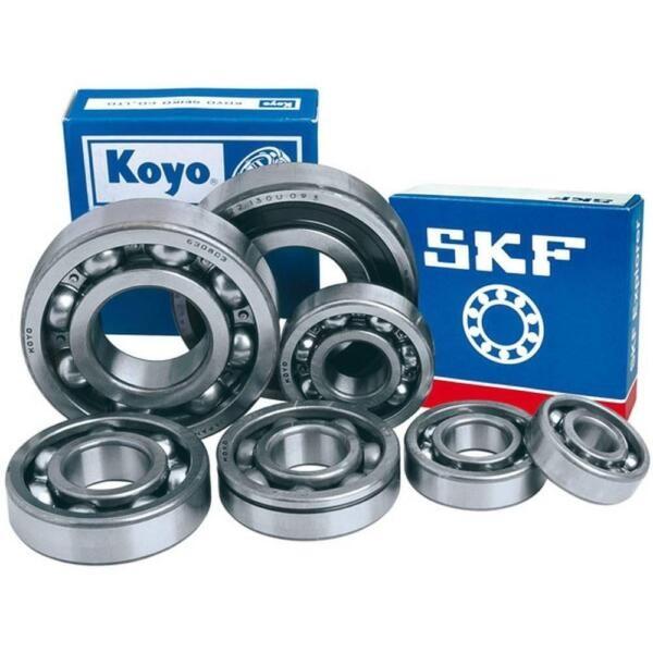 SKF 4204-ATN9 Roller Bearing NEW #1 image