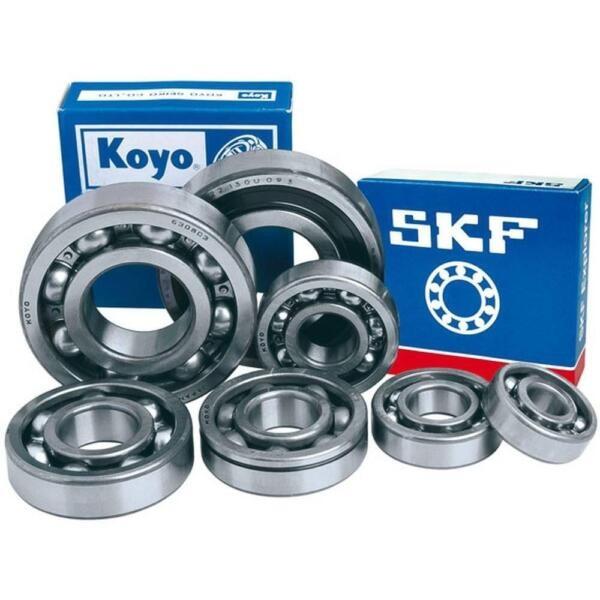 SKF NU205ECP Cylindrical Roller Bearing ! NEW ! #1 image