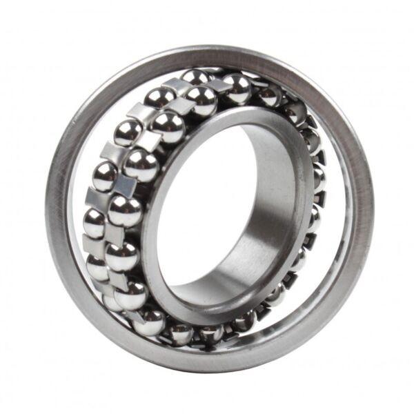 2310-2RS-TVH FAG m 1.82 kg / Weight 50x110x40mm  Self aligning ball bearings #1 image