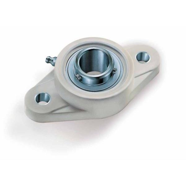RHP PSFT25CR Silver-Lube Flange Bearing #1 image