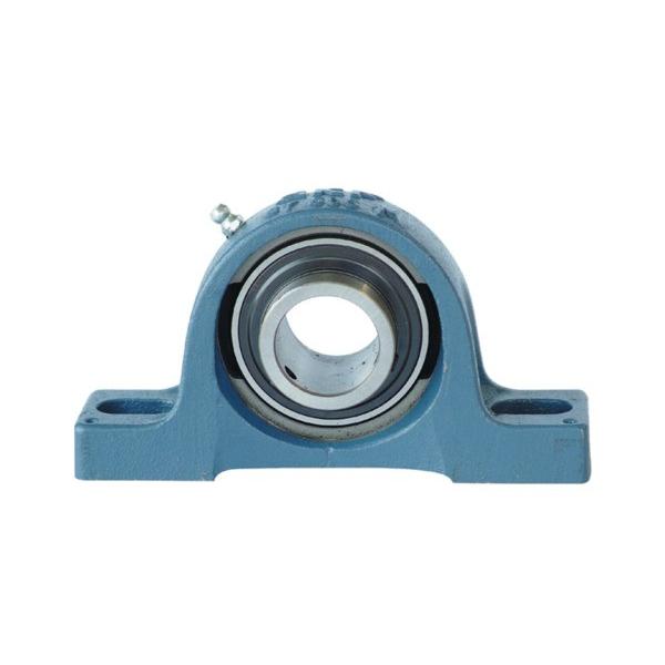 Skf SY55TF Pillow Block Bearing 55MM ID 219MM OD New #1 image