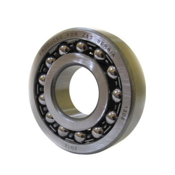 SKF 1306-ETN9 Ball Bearing New #1 image