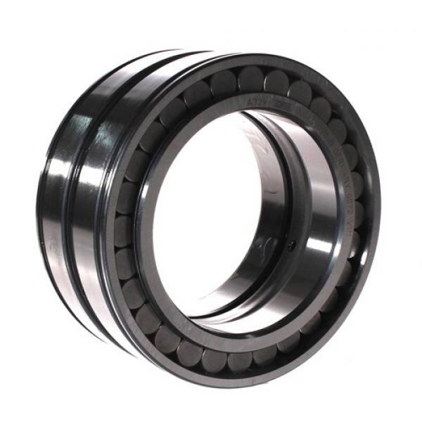 SL185020 INA 100x150x67mm  Rolling Element Cylindrical Roller Bearing Cylindrical roller bearings #1 image