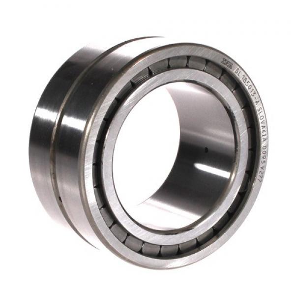 SL045013 ISO 65x100x46mm  B 46 mm Cylindrical roller bearings #1 image