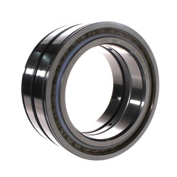 SL04130-PP INA Relubricatable Yes 130x190x80mm  Cylindrical roller bearings #1 image