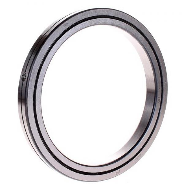 SX011828 Cross Cylindrical Roller Bearing INA Structure #1 image