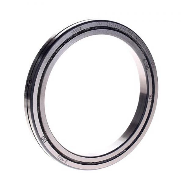 SX011820 Cross Cylindrical Roller Bearing INA Structure #1 image