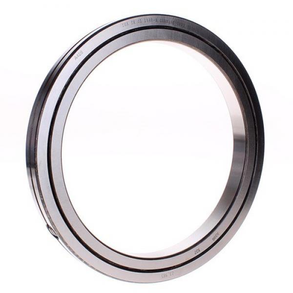 SX011840 Cross Cylindrical Roller Bearing INA Structure #1 image