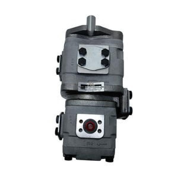 NACHI IPH-3A-10-20  IPH SERIES IP PUMP #1 image