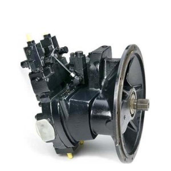 Rexroth A7VO107LRG/63L-NZB01 Axial Piston Variable Pumps #1 image