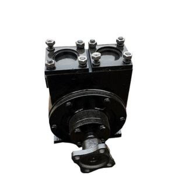 BCB Series Gear Oil Pump BCB-100/1.6 #1 image