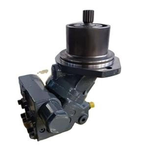 Rexroth Fixed Displacement Pump A2FO80/61L-PBB05 #1 image