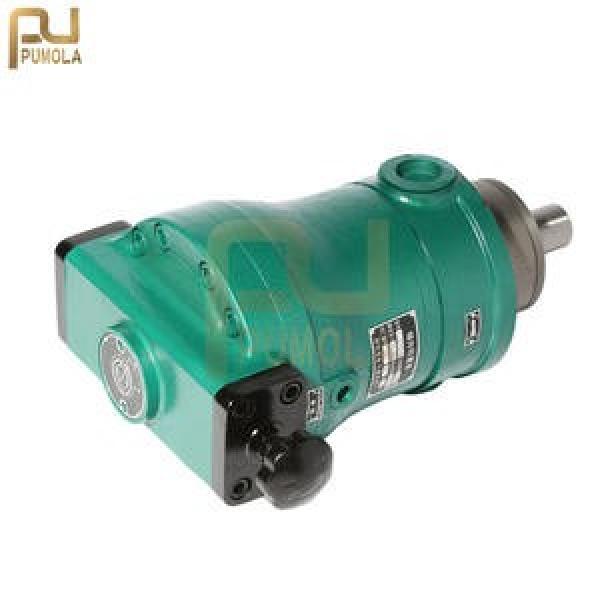 100MCY14-1B  fixed displacement piston pump #1 image