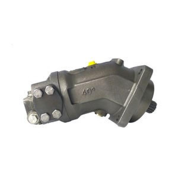 Rexroth A2FM160/61W-VBB020 Axial Piston Fixed Motor #1 image
