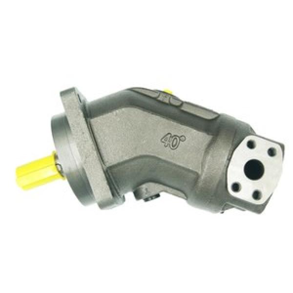 Rexroth A2FM12/61W-VPB040 Axial Piston Fixed Motor #1 image