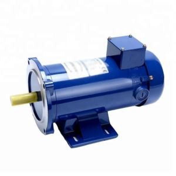 113ZYT Series Electric DC Motor 113ZYT180-1/3-1750 #1 image