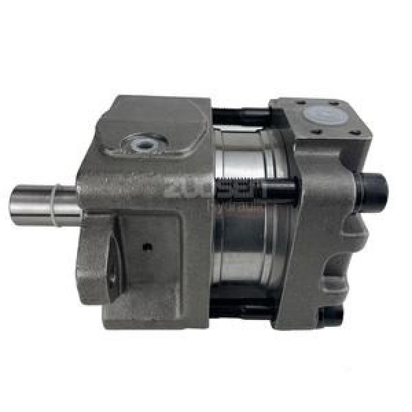 Sumitomo QT Series Gear Pump QT63-125F-A #1 image