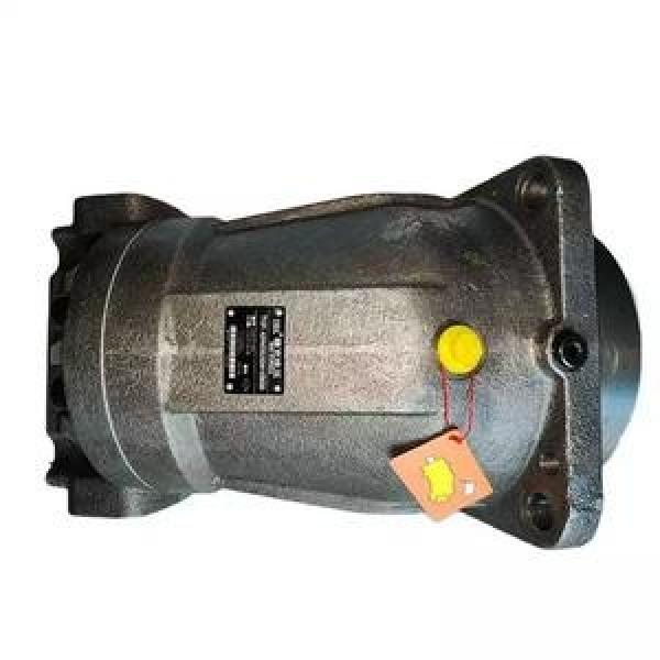 Rexroth A2FO23/61L-PZP06 Axial Piston Fixed Pumps #1 image