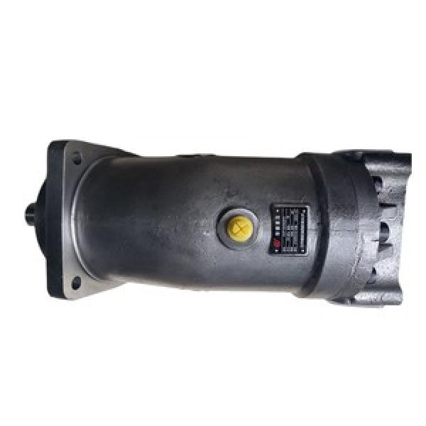 A2F10L1S2 A2F Series Fixed Displacement Piston Pump #1 image