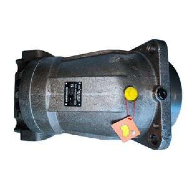 Rexroth Fixed Displacement Pump A2FO107/61L-PZB05 #1 image