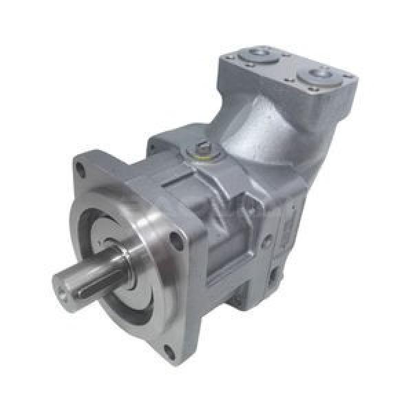 Parker F12-060-MF-IH-D-000-L01-S Fixed Displacement Motor/Pump #1 image