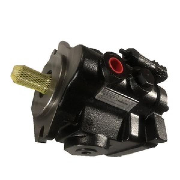 Parker PV023R1K1AYNMMD  PV Series Axial Piston Pump #1 image