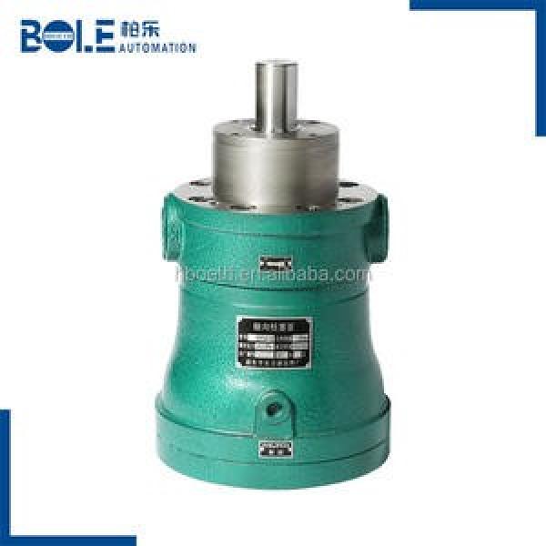 100YCY14-1B  high pressure piston pump #1 image