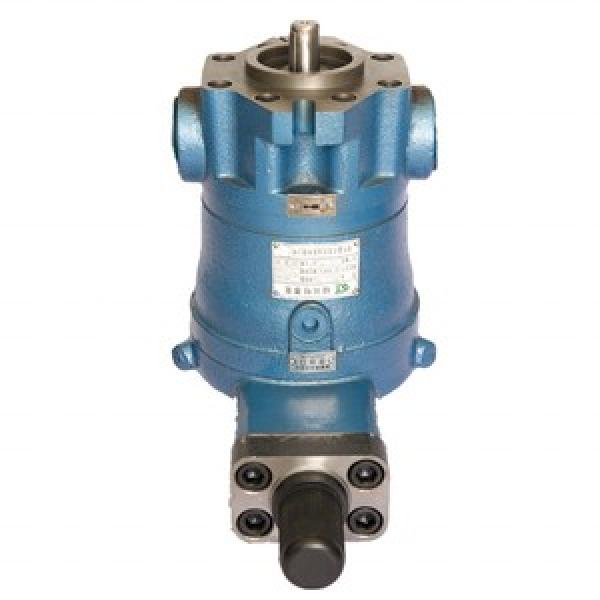 63YCY14-1B  high pressure piston pump #1 image