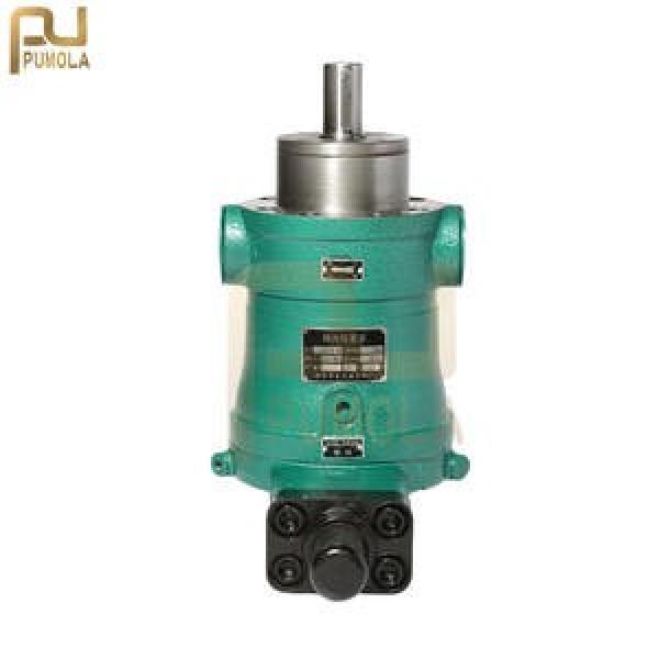 160SCY14-1B  axial plunger pump #1 image