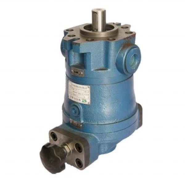25SCY14-1B  axial plunger pump #1 image