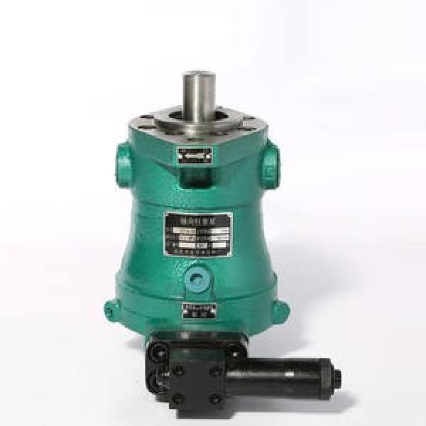 25MCY14-1B  fixed displacement piston pump #1 image