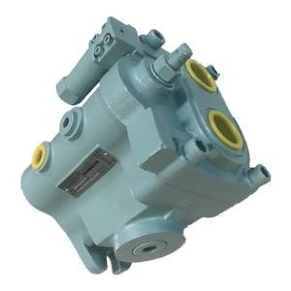Denison PV20-2R5D-C00  PV Series Variable Displacement Piston Pump #1 image