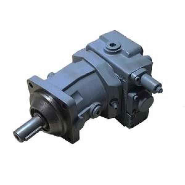 Variable Piston Pump A7V Series  A7V117NC1LZF00 #1 image